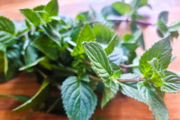 Frische Minze für den Melonensalat