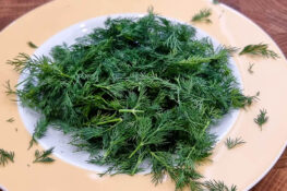 Dill für die Lachsterrine geschnitten