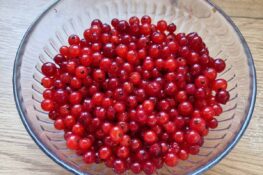 rote Johannisbeeren